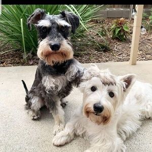 Meet your Posher, Monica